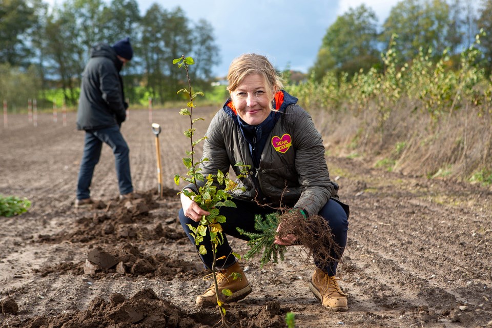 Sofie Carsten Nielsen planter træer ved Brylle på Fyn
