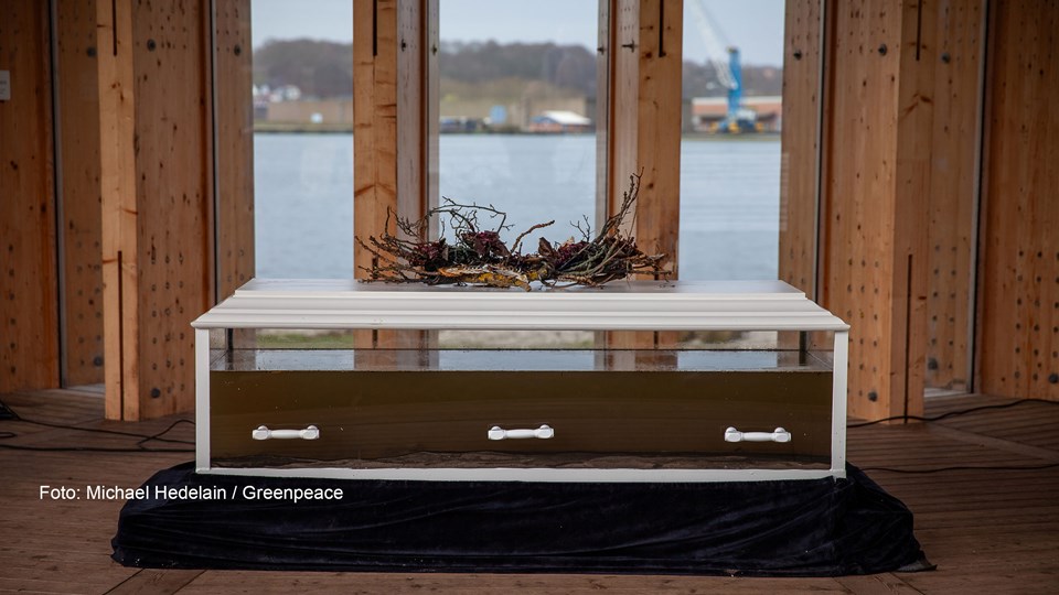Greenpeace og Danmarks Sportsfiskerforbund havde derfor arrangeret en symbolsk begravelse for Vejle Fjord