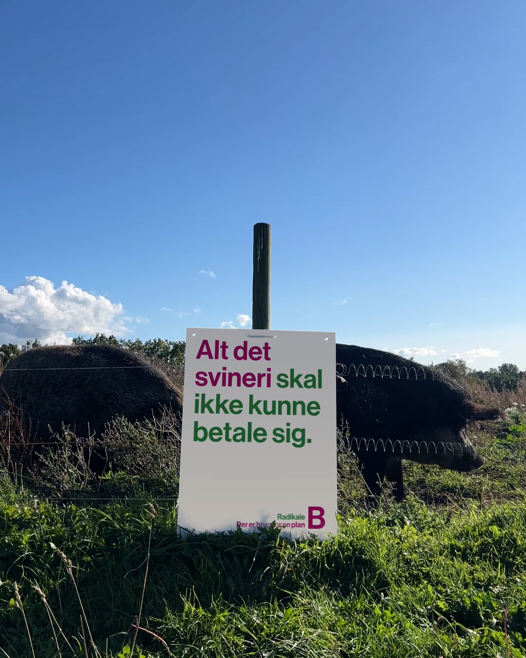 Radikale Venstre Kommunalvalg2025 