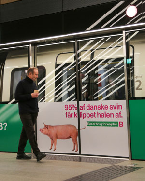 Martin Lidegaard - svinevalg nu